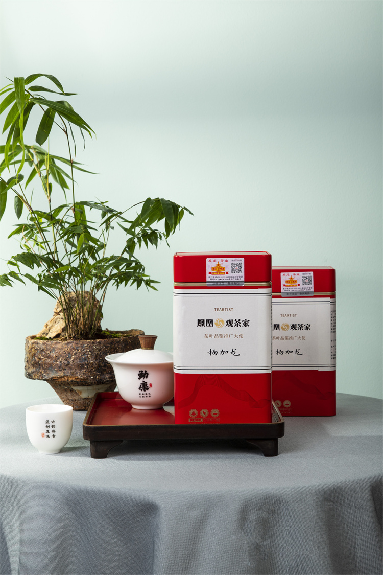 2022年(nián)冰島神韻