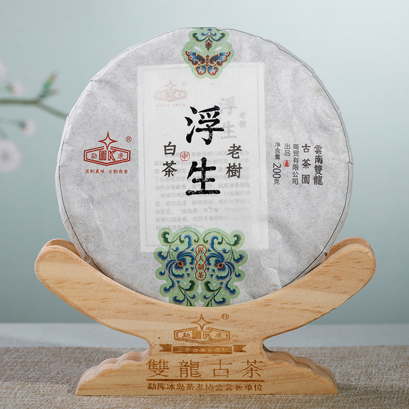 浮生老樹(shù)白茶